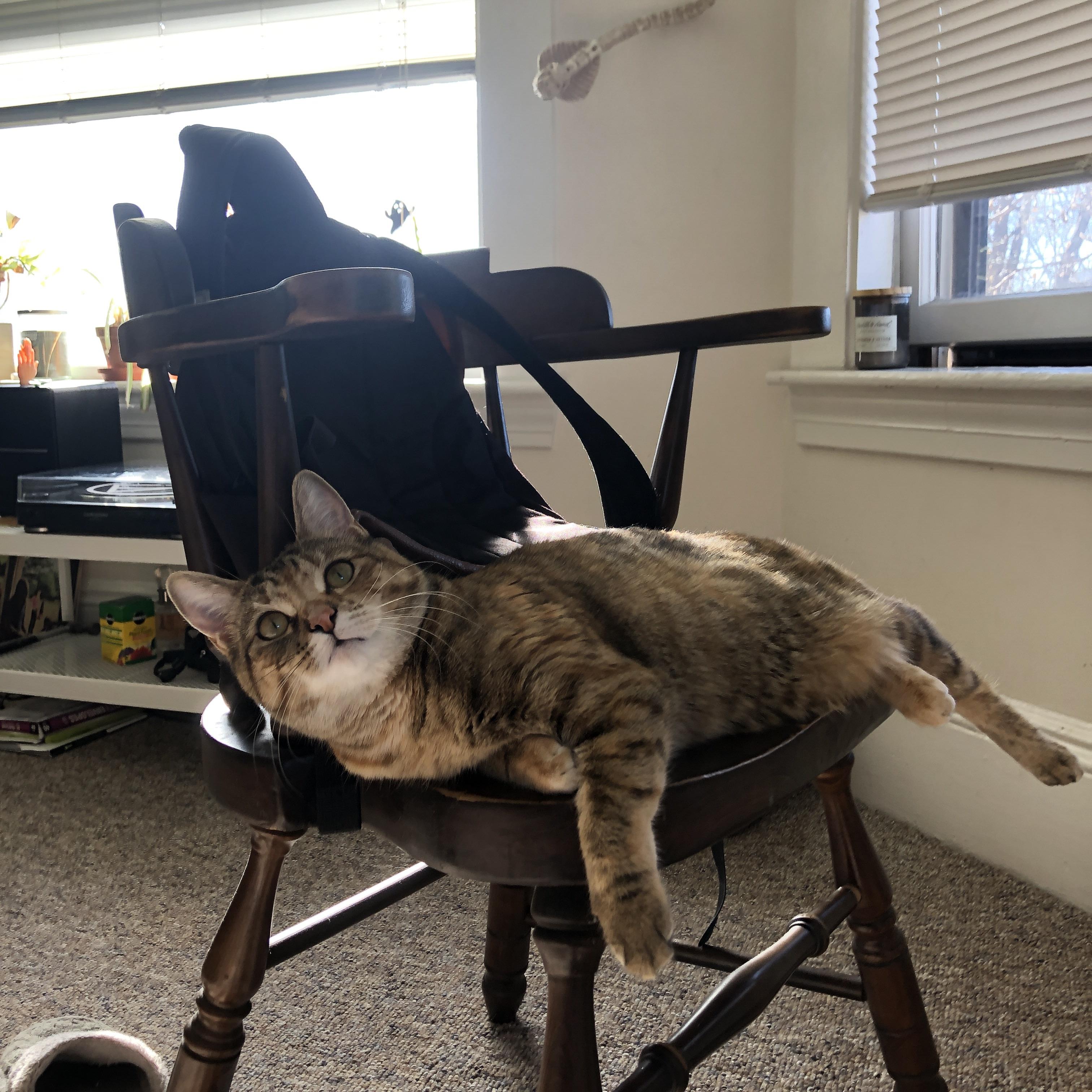 开云体育APP下载-德甲经典战，比分3-1，明星球员贡献两粒进球，控球率65%以上，德甲经典比赛