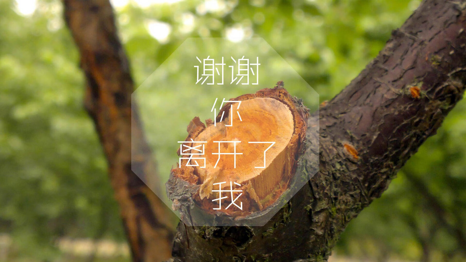 开云中国-是否应设立年度最佳青年教练奖项，最佳青训教练