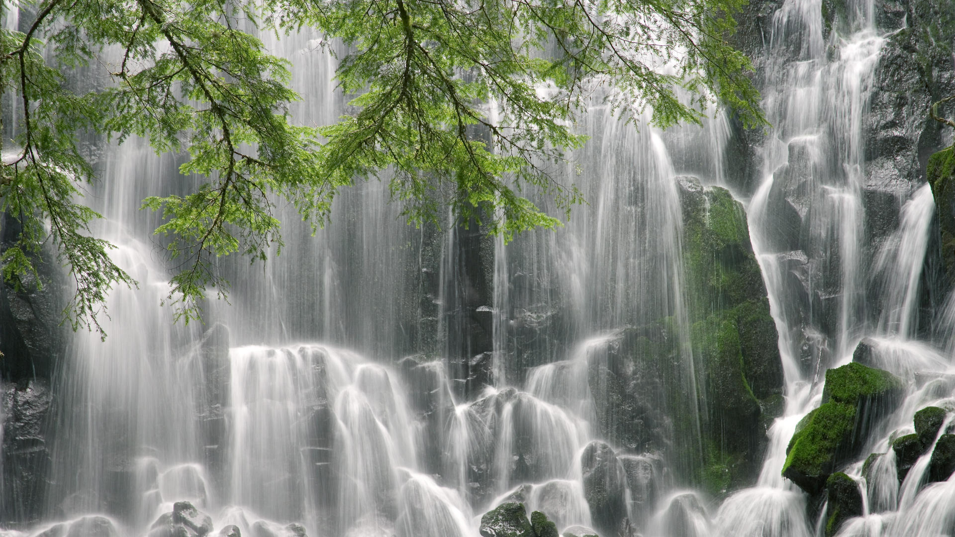 河北华夏幸福球员在场上发挥水平超过预期，河北华夏幸福球队老板
