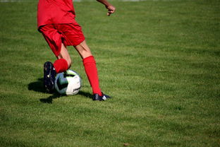 kaiyun开云·官方网站-校园足球教练培训体系现状与改革思路，校园足球师资培训