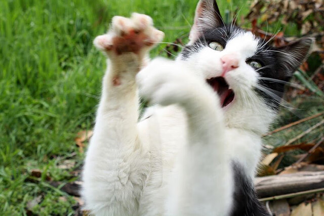 节能管理技术应用,节能管理是什么