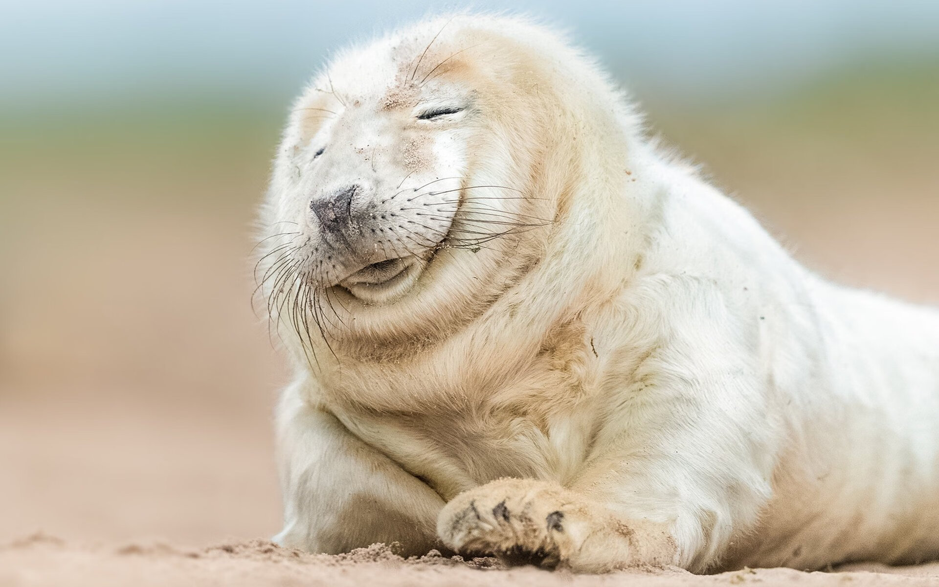 Kaiyun APP-“2025世界运动会：高新体育中心健力赛场，选手挑战世界纪录”