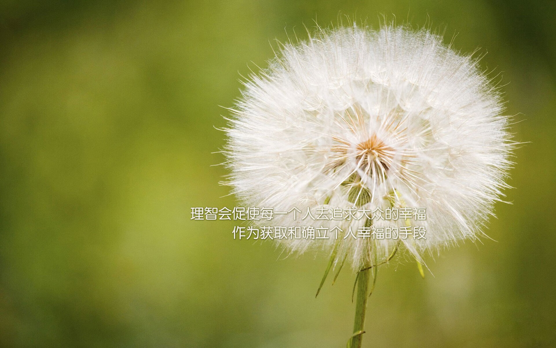 C罗赠球迷签名球引发热烈反响,c罗的签字