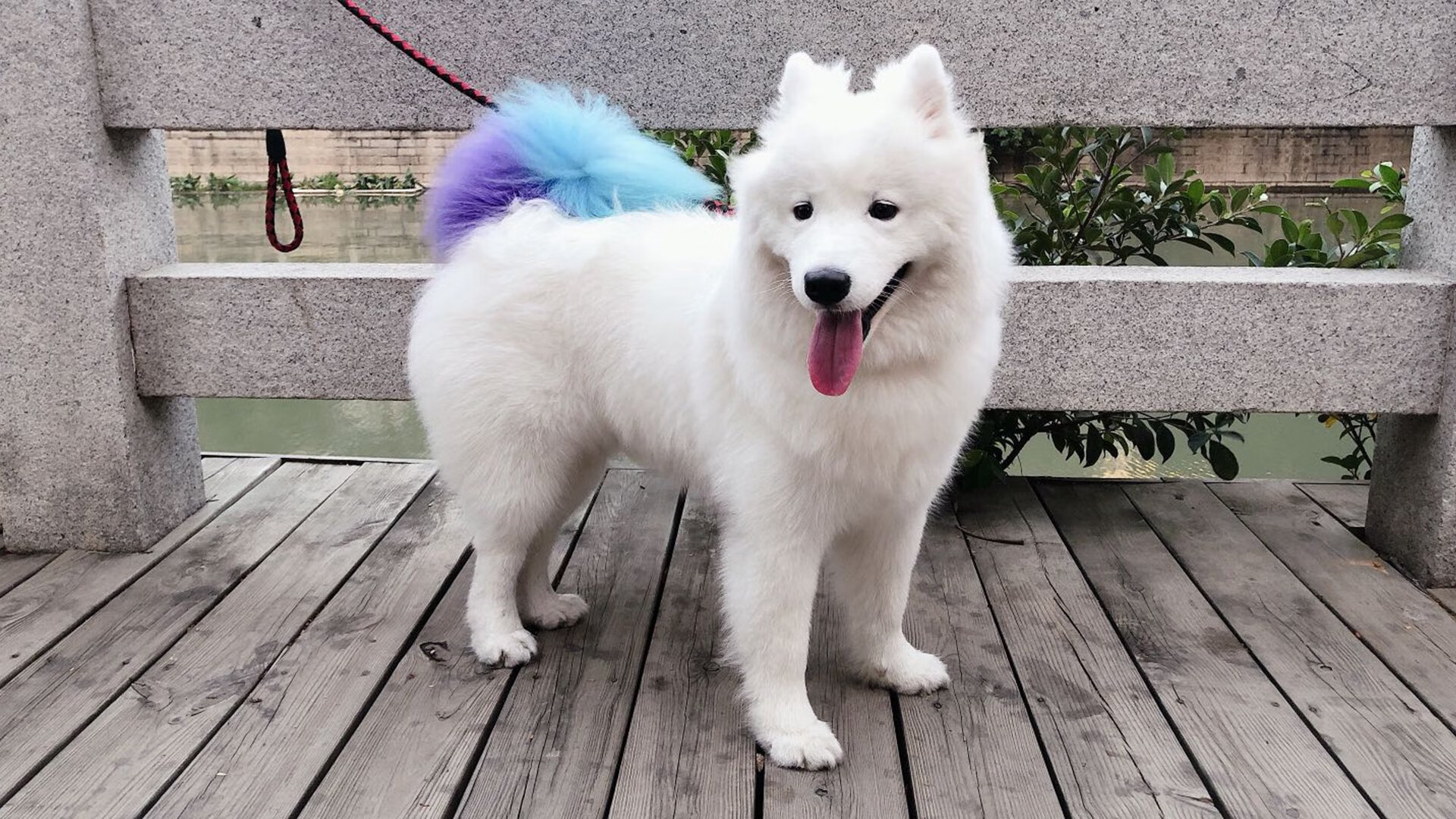 多国联手推动足球青训合作，打造国际足球青训联盟，国外足球青训体系