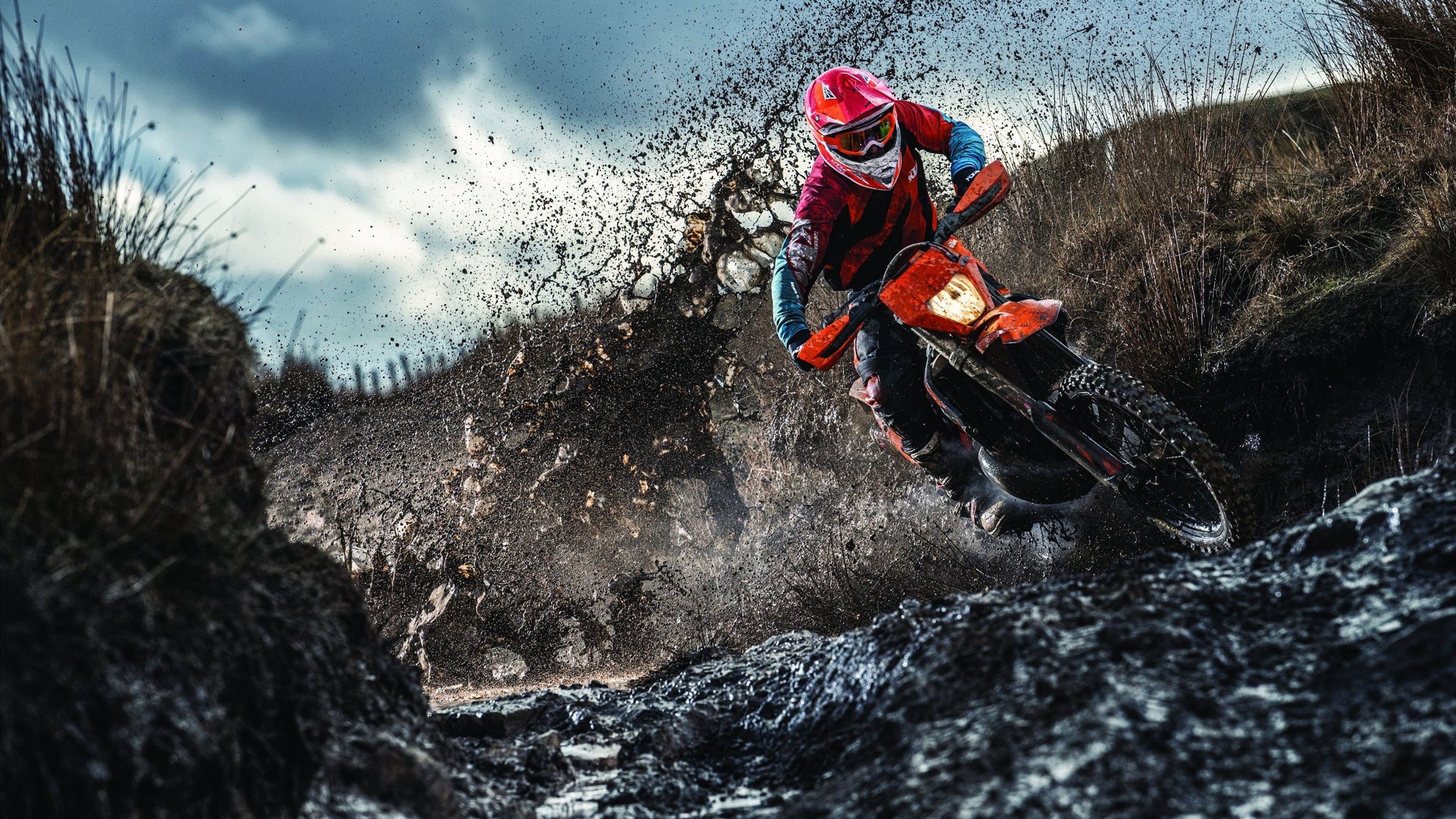 青少年运动兴趣培养与心理健康关系,青少年运动心理训练理论与实践